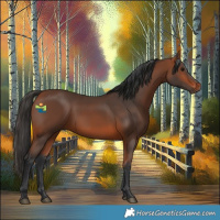 Horse Color:Bay Rabicano 