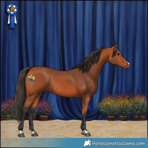 Horse Color:Bay Rabicano