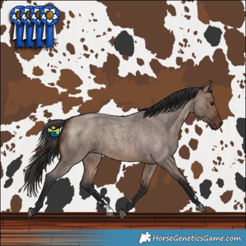 Horse Color:Brown Roan Dun Rabicano 