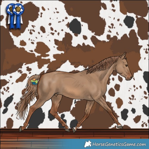Horse Color:Red Dun Rabicano 