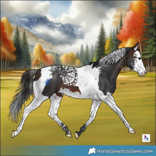 Horse Color:Brown Splash Tobiano