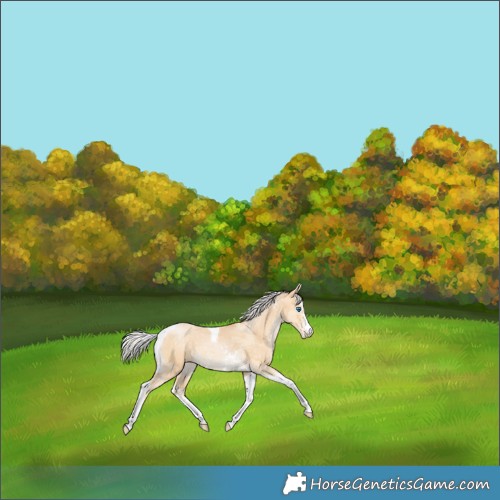 Horse Color:Silver Smoky Black Pearl Merle Sabino Tobiano 