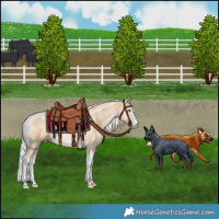 Horse Color:Silver Smoky Black Pearl Merle Sabino Tobiano 