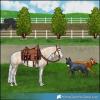 Horse Color:Silver Smoky Black Pearl Merle Sabino Tobiano