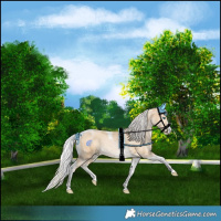 Horse Color:Silver Smoky Black Pearl Merle Sabino Tobiano