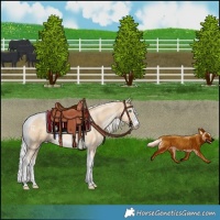Horse Color:Silver Smoky Black Pearl Merle Sabino Tobiano 