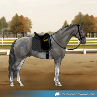 Horse Color:Grullo Tobiano Rabicano