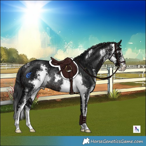 Horse Color:Brown Ice Mushroom Sabino Rabicano 