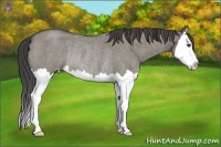 Horse Color:Smoky Grullo Roan Splash Rabicano 