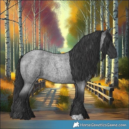 Horse Color:Blue Roan
