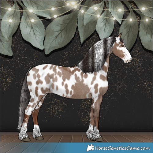 Horse Color:Liver Red Dun Sabino Skewed LP Spotted Rabicano 