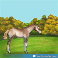 Horse Color:Liver Red Onyx Pearl Rabicano