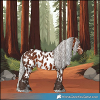 Horse Color:White Spotted Silver Bay Skewed LP Spotted 