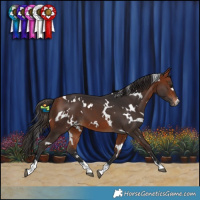 Horse Color:White Spotted Bay