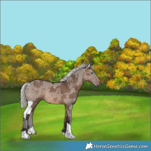 Horse Color:Silver Brown Dun Merle Tobiano 