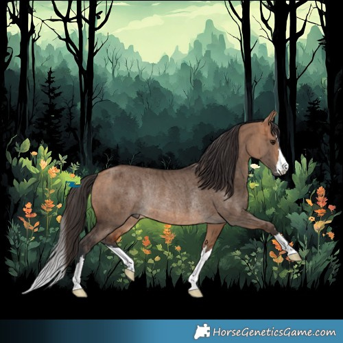 Horse Color:Bay Dun Rabicano Brindle 
