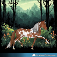 Horse Color:White Spotted Chestnut Rabicano 