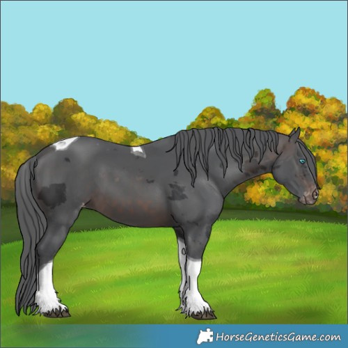 Horse Color:Brown Merle Tobiano Skewed LP Spotted 