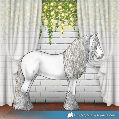 Horse Color:Silver Buckskin Dun Harlequin Merle Tobiano 