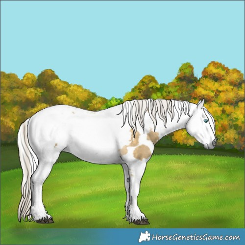 Horse Color:Silver Buckskin Dun Harlequin Merle Tobiano 