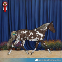 Horse Color:White Spotted Liver Chestnut 