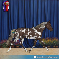 Horse Color:White Spotted Liver Chestnut