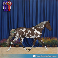 Horse Color:White Spotted Liver Chestnut