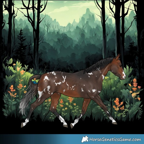 Horse Color:White Spotted Bay 