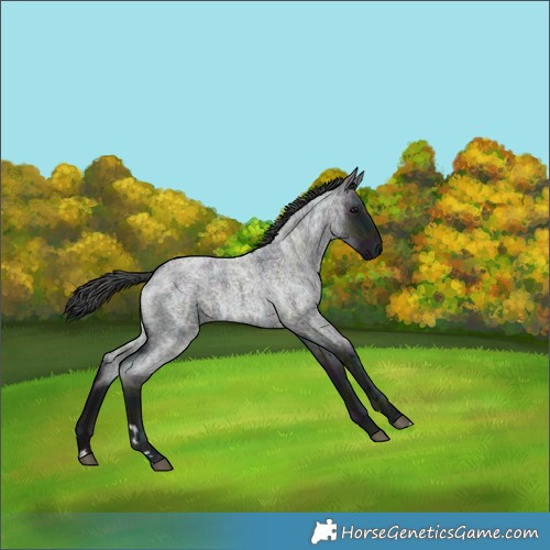 Horse Color:Midnight Blue Ice Roan