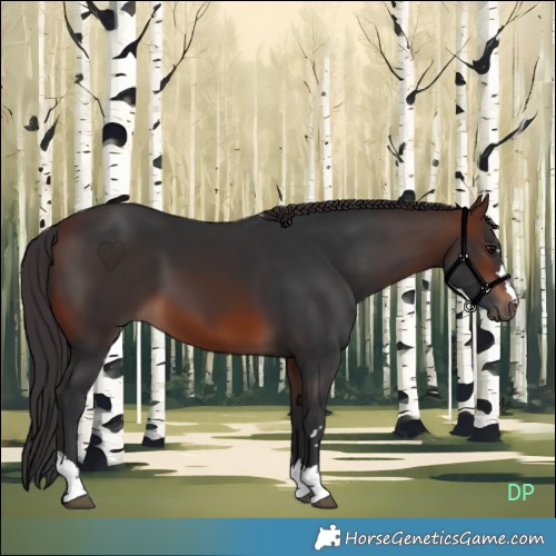 Horse Color:Brown 