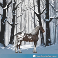 Horse Color:Silver Brown Tobiano Skewed Appaloosa 