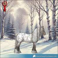 Horse Color:Silver Blue Roan Tobiano Skewed Appaloosa