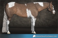 Horse Color:Silver Brown Dun Tobiano