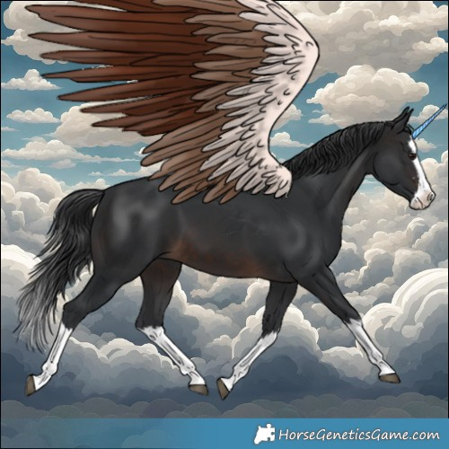 Horse Color:Brown Splash 