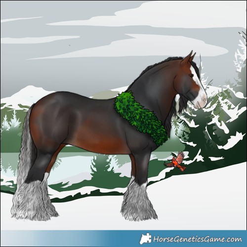 Horse Color:Bay Splash 