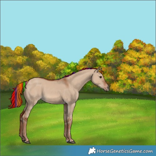 Horse Color:Painted Red Dun 