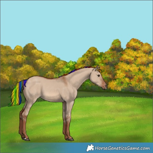 Horse Color:Painted Red Dun