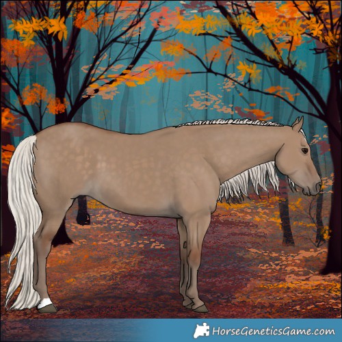 Horse Color:Silver Grullo 