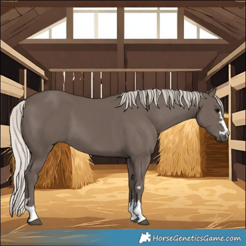 Horse Color:Silver Black 