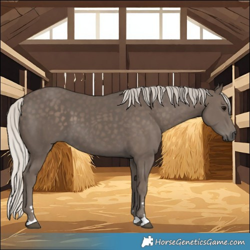 Horse Color:Silver Black 