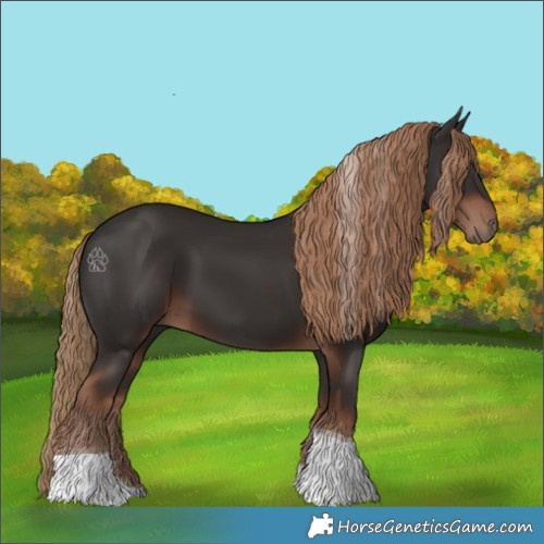 Horse Color:Liver Chestnut Tobiano 