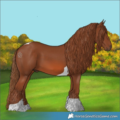 Horse Color:Chestnut Tobiano
