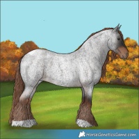 Horse Color:Liver Red Roan Tobiano