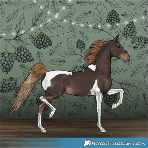 Horse Color:Liver Chestnut Tobiano 