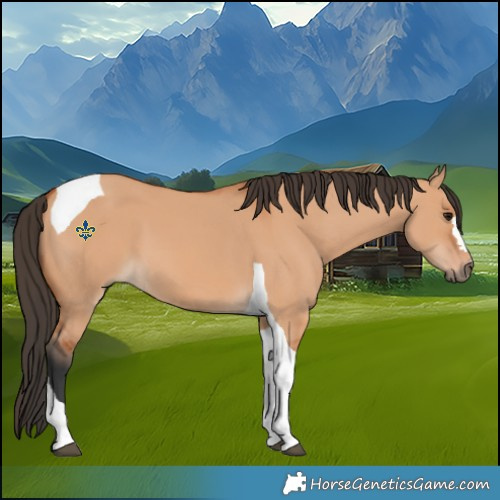 Horse Color:Bay Dun Tobiano