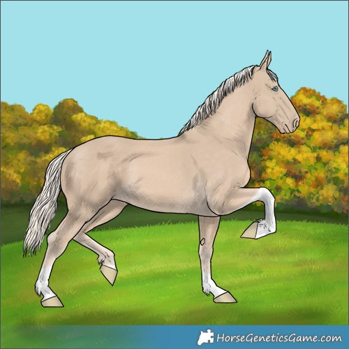 Horse Color:Cremello Tobiano 