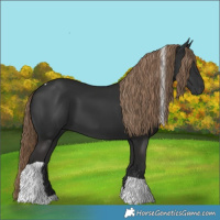 Horse Color:Liver Chestnut Tobiano 