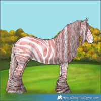 Horse Color:Silver Brown Dun Appaloosa 