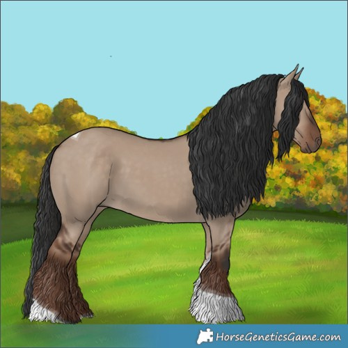 Horse Color:Liver Red Dun Tobiano 