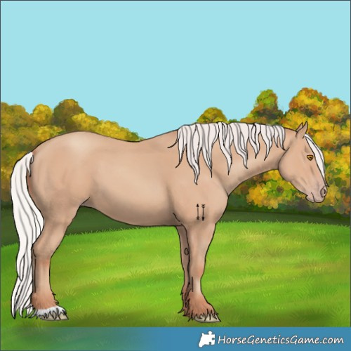 Horse Color:Silver Classic Champagne 